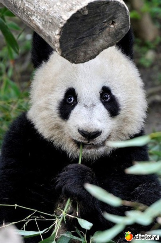 21 ����: ����� 1