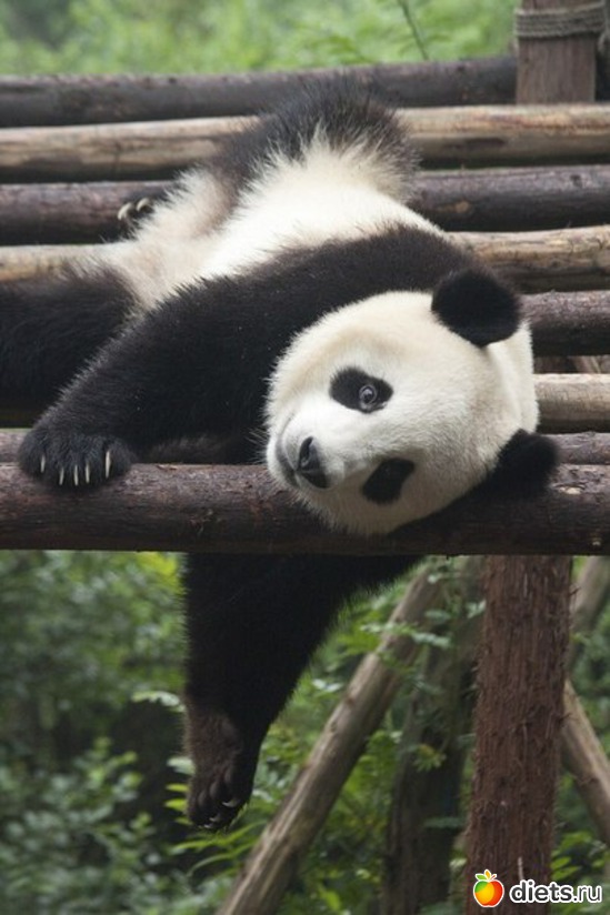 22 ����: ����� 1