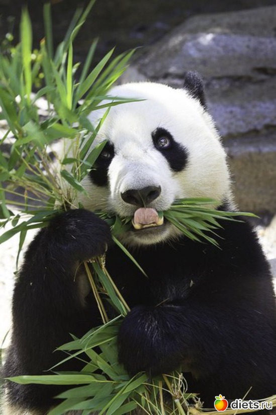 23 ����: ����� 1