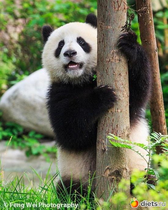 24 ����: ����� 1