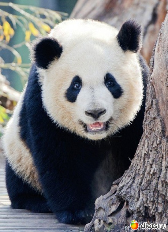 25 ����: ����� 1