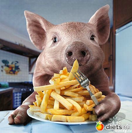 ����, �� ���!