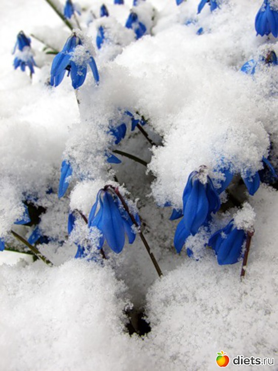 67 ����: �����...