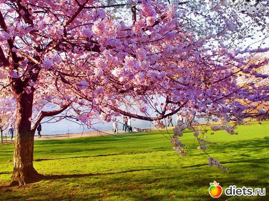 68 ����: �����...