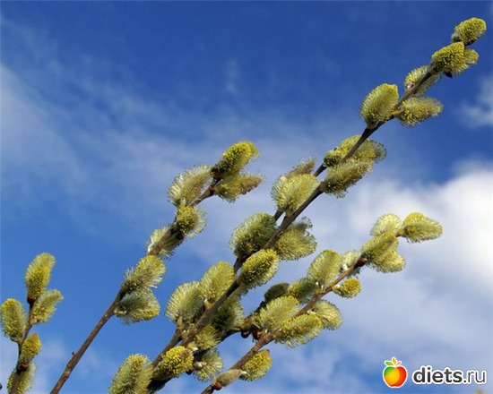 69 ����: �����...