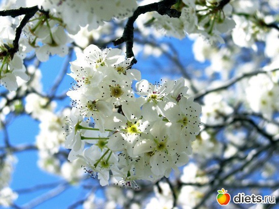 70 ����: �����...