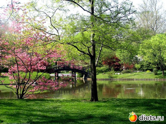 71 ����: �����...