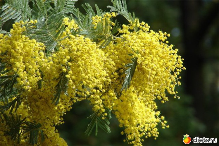 74 ����: �����...