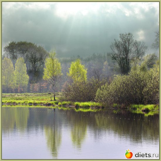 75 ����: �����...