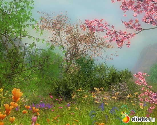 76 ����: �����...