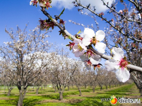 78 ����: �����...