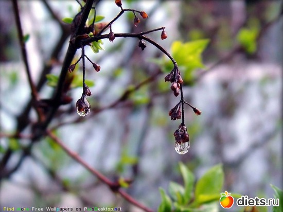 79 ����: �����...