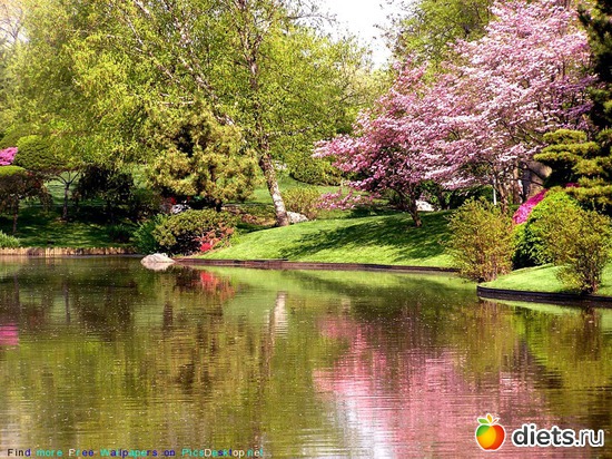 81 ����: �����...