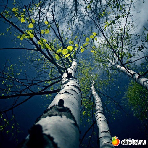 82 ����: �����...