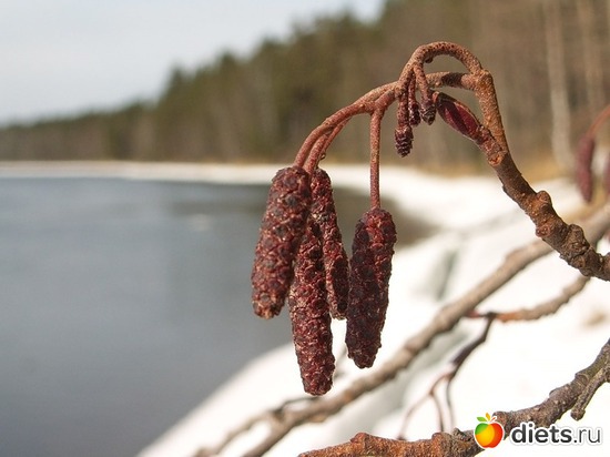 84 ����: �����...