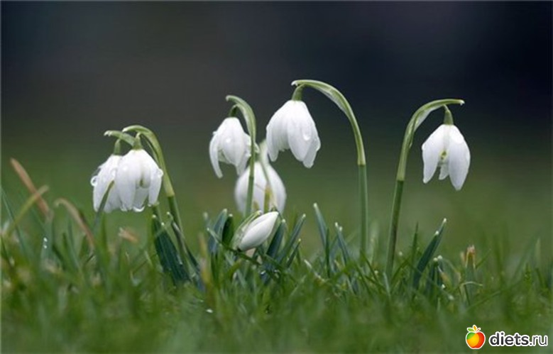 85 ����: �����...