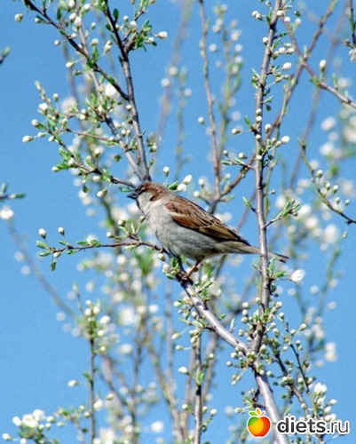 89 ����: �����...