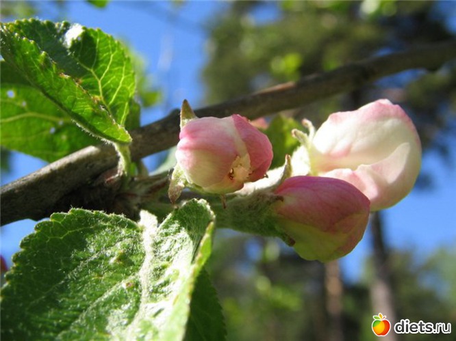 90 ����: �����...