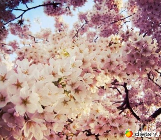 91 ����: �����...