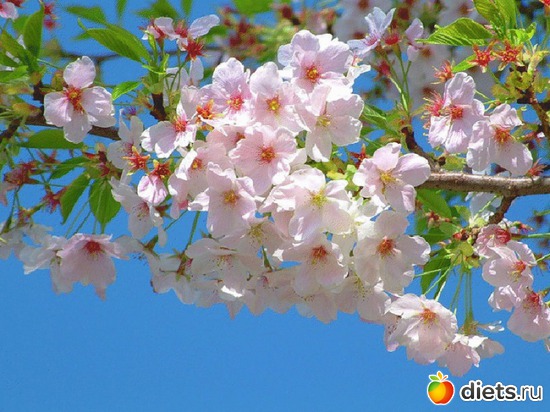 92 ����: �����...