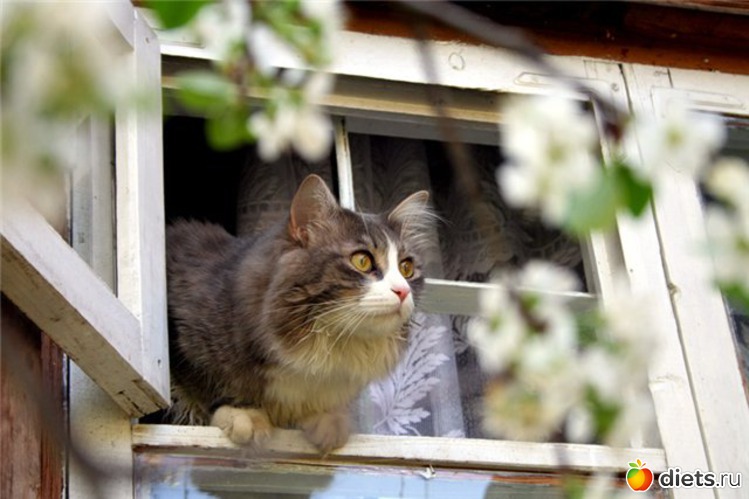 93 ����: �����...