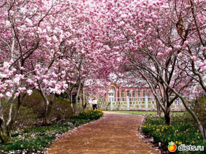 95 ����: �����...