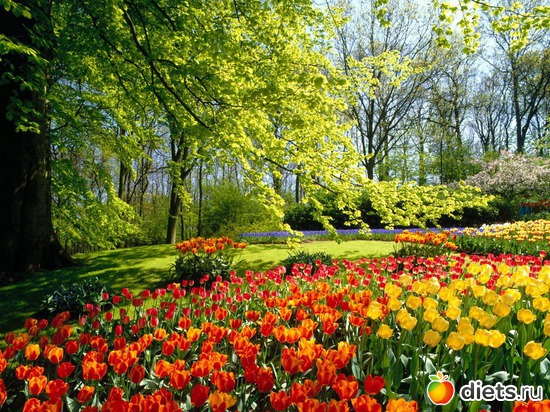 98 ����: �����...