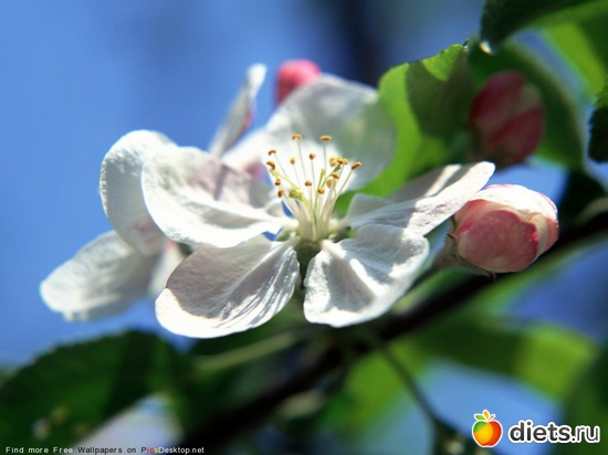 99 ����: �����...