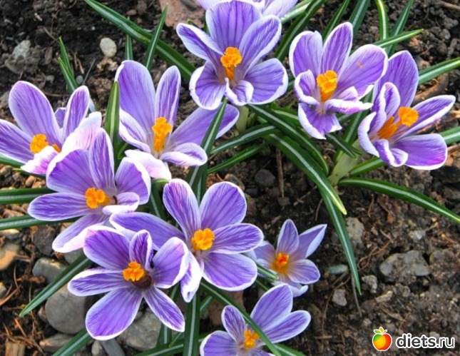 100 ����: �����...