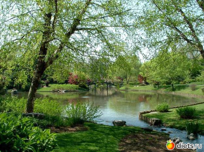 104 ����: �����...