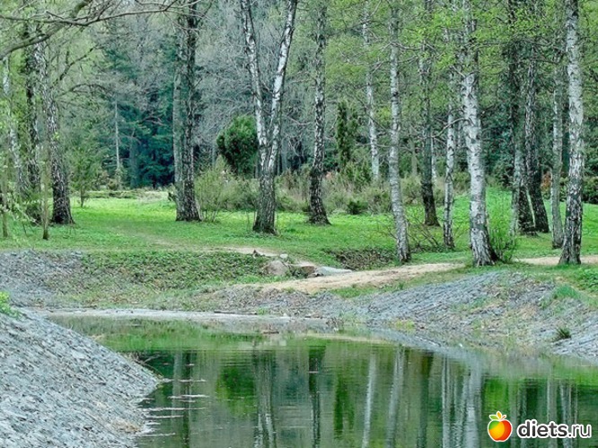 105 ����: �����...