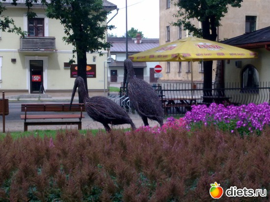 ����� �� �������, ������: ������ 2012