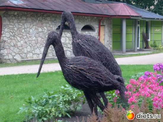 3 ����: ������ 2012