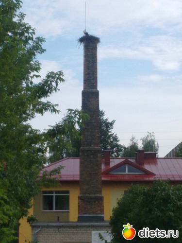 �����. �����, ������: ������ 2012