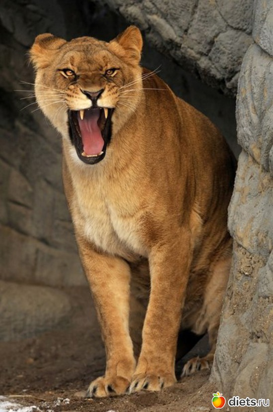 27 ����: ����� 1