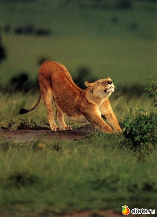 28 ����: ����� 1