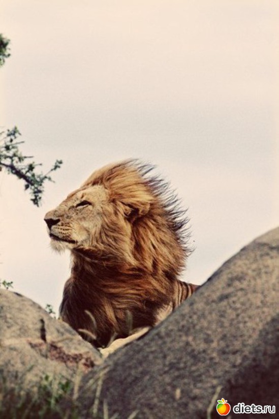 29 ����: ����� 1