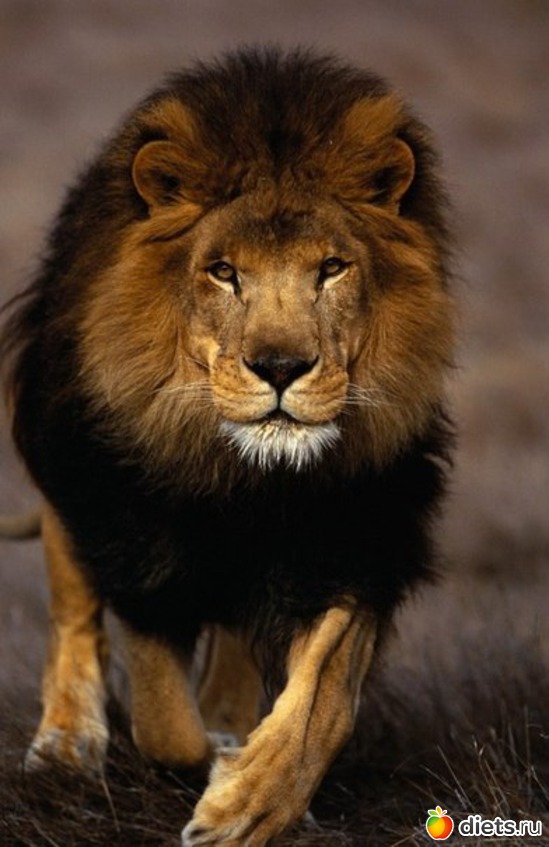 30 ����: ����� 1