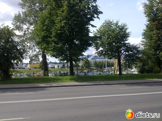 �����, ������: ������ 2012