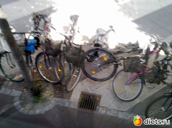 ���������, ������: ������ 2012