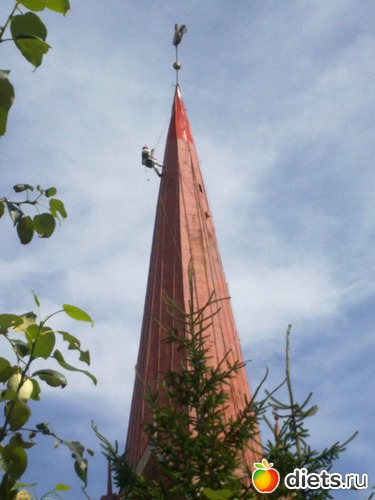 ����� ������ ��. ����., ������: ������ 2012