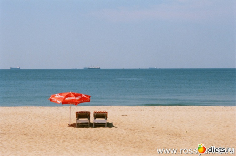 1 ����: �����