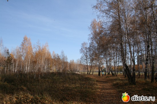 45 ����: ��� ������� �����