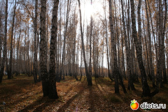 47 ����: ��� ������� �����