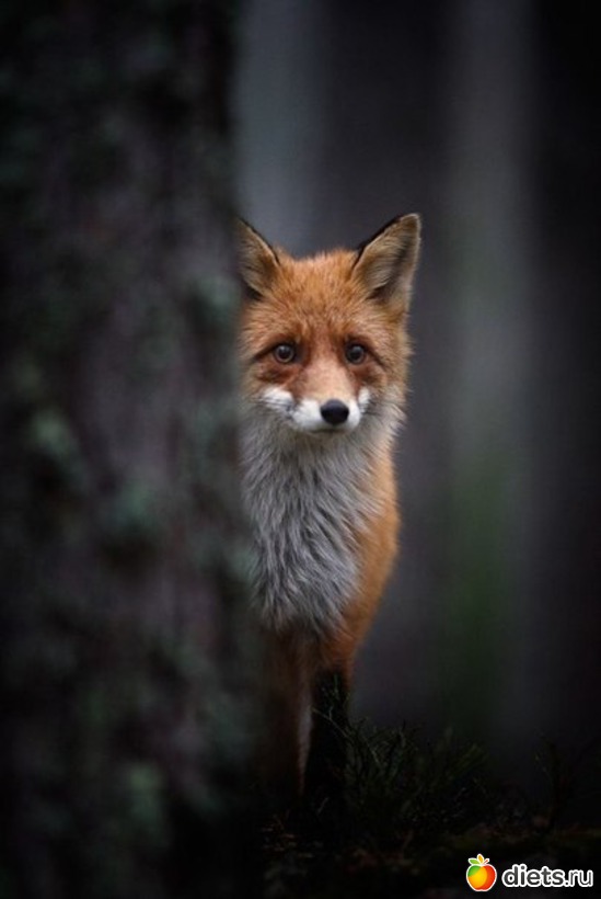 34 ����: ����� 1