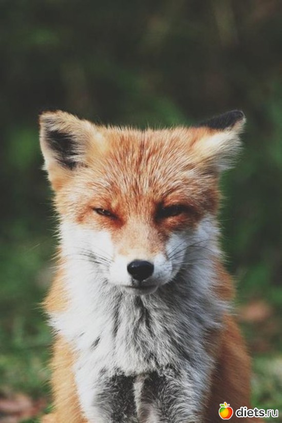 35 ����: ����� 1