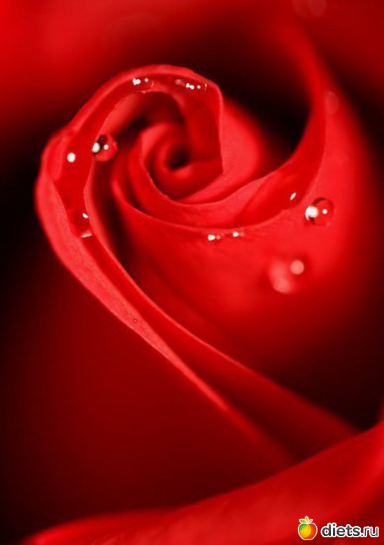 44 ����: ����� 1