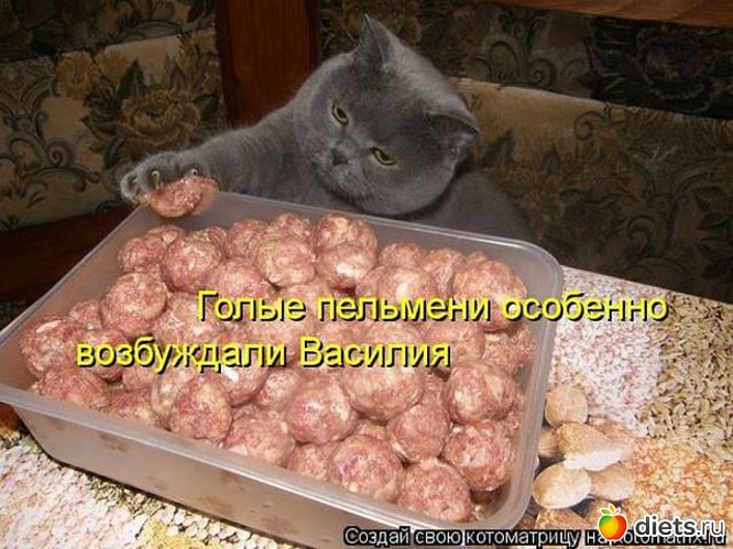 5 ����: ����3