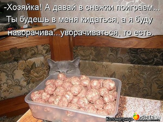 6 ����: ����3