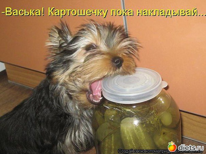 9 ����: ����3